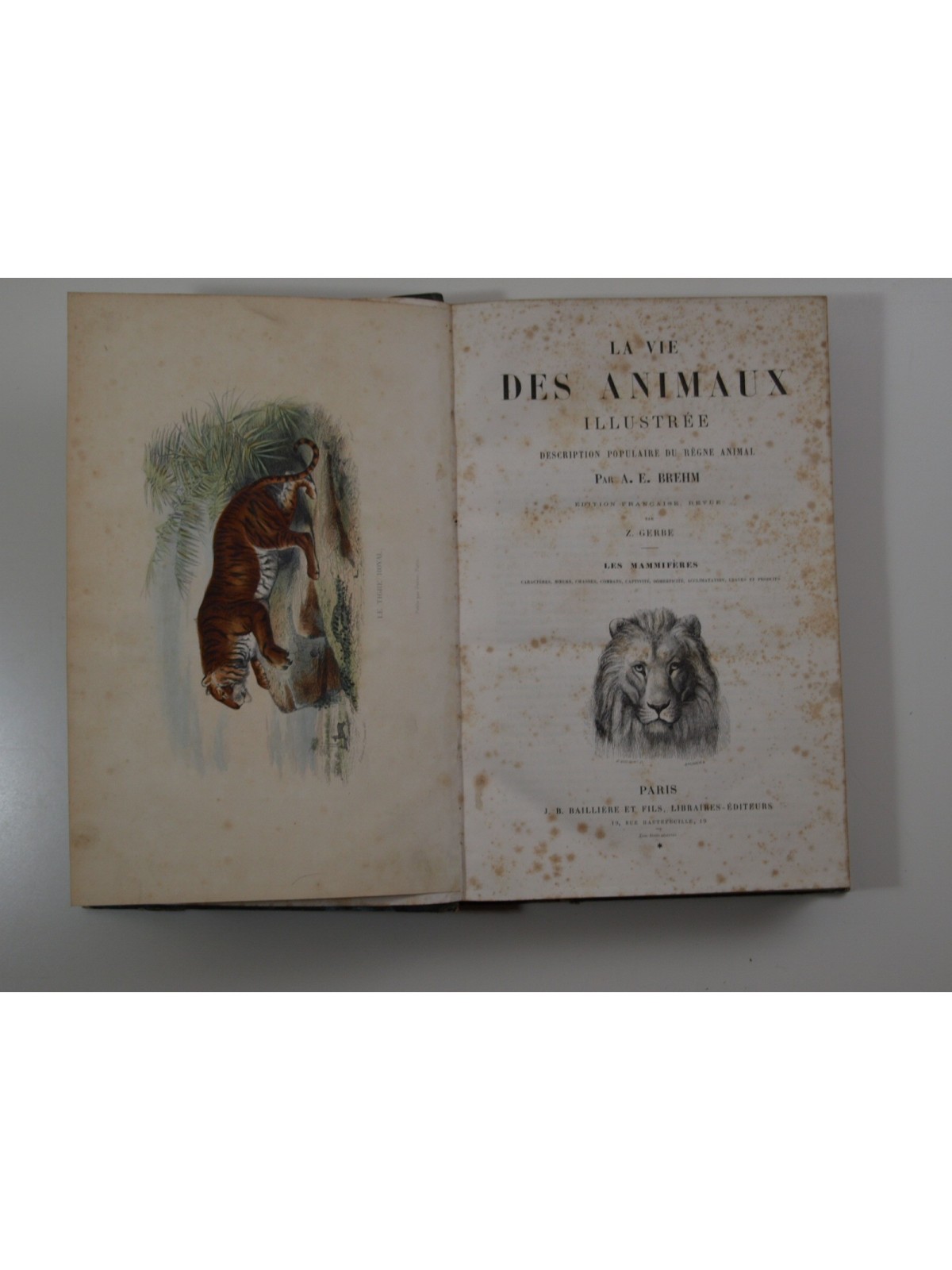BREHM A. E. : La Vie des animaux illustrée. Les Mammifères. 2 tomes. Complet