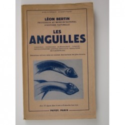 Bertin Léon : Les Anguilles