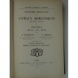 BOURDELLE : Anatomie des animaux domestiques. Cheval