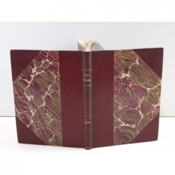 Rolland Romain : Danton E.O.