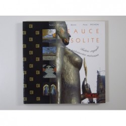 Pichon Anne : Beauce insolite
